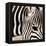 Zebra Pattern-Frank & Susann Parker-Framed Stretched Canvas