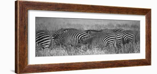 Zebra Patterns-Scott Bennion-Framed Photo