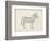 Zebra Sketch-Ethan Harper-Framed Art Print