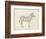 Zebra Sketch-Ethan Harper-Framed Art Print