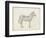 Zebra Sketch-Ethan Harper-Framed Art Print