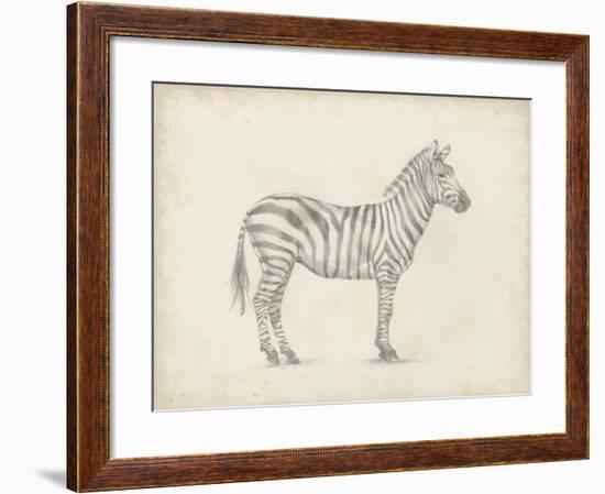 Zebra Sketch-Ethan Harper-Framed Art Print