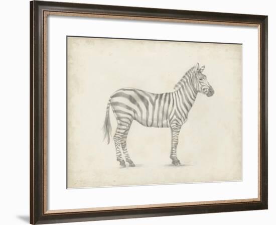 Zebra Sketch-Ethan Harper-Framed Art Print