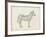 Zebra Sketch-Ethan Harper-Framed Art Print