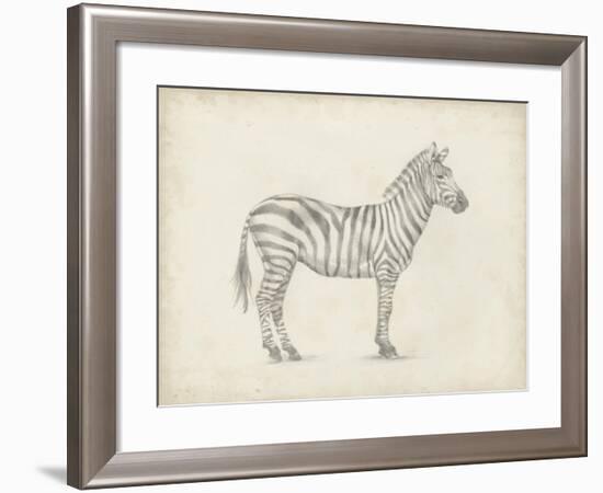 Zebra Sketch-Ethan Harper-Framed Art Print