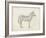 Zebra Sketch-Ethan Harper-Framed Art Print