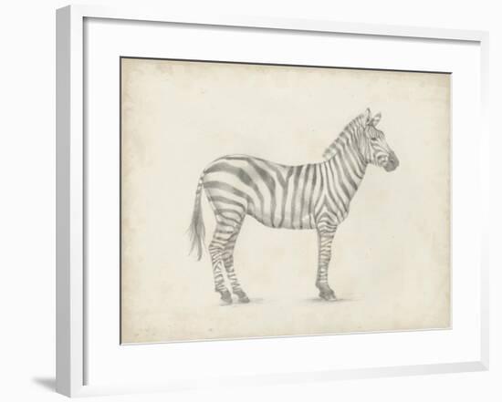 Zebra Sketch-Ethan Harper-Framed Art Print