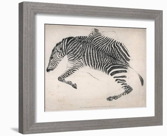 Zebra Skin-null-Framed Art Print