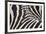Zebra Stripes-Staffan Widstrand-Framed Giclee Print