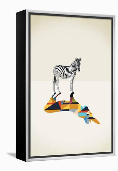 Zebra - Walking Shadows-Jason Ratliff-Framed Premier Image Canvas