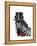 Zebra with Top Hat and Bow Tie 1, Sideways-Fab Funky-Framed Stretched Canvas