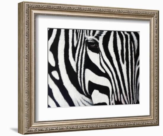 Zebra-null-Framed Giclee Print