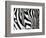 Zebra-null-Framed Giclee Print