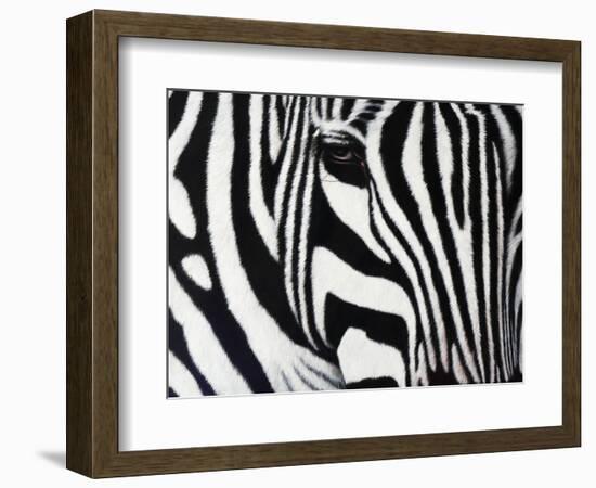 Zebra-null-Framed Giclee Print