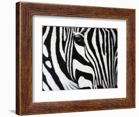 Zebra-null-Framed Giclee Print