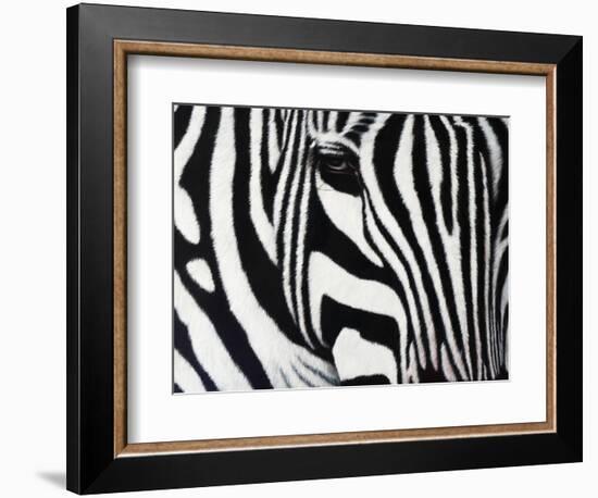 Zebra-null-Framed Giclee Print