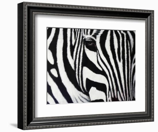 Zebra-null-Framed Giclee Print