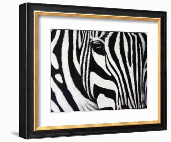 Zebra-null-Framed Giclee Print