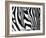 Zebra-null-Framed Giclee Print