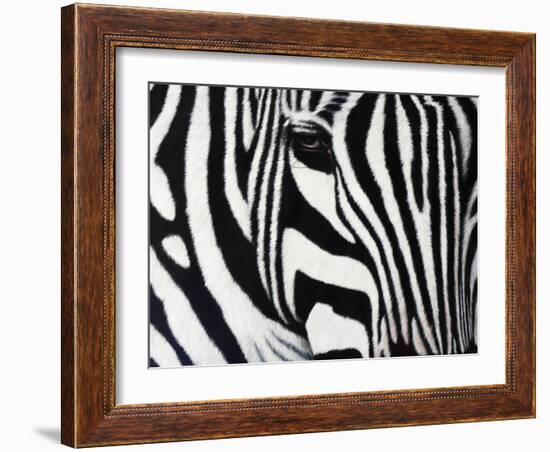 Zebra-null-Framed Giclee Print