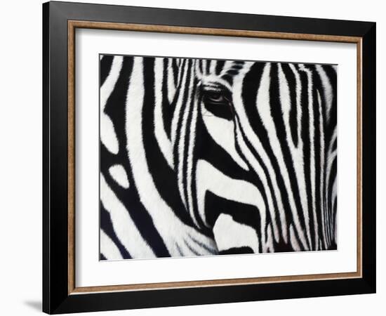 Zebra-null-Framed Giclee Print