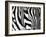 Zebra-null-Framed Giclee Print