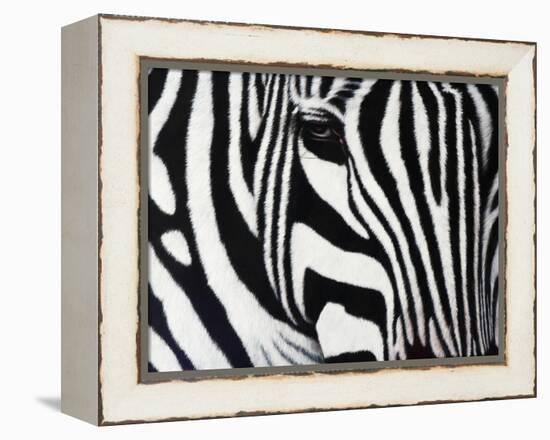 Zebra-null-Framed Premier Image Canvas