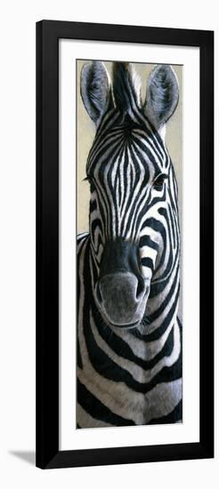 Zebra-Jeremy Paul-Framed Giclee Print