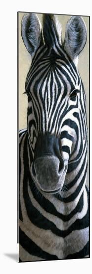 Zebra-Jeremy Paul-Mounted Giclee Print