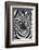 ZEBRA-Juan Luis Duran-Framed Photographic Print