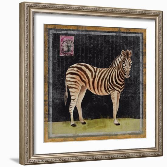 Zebra-Lisa Ven Vertloh-Framed Art Print