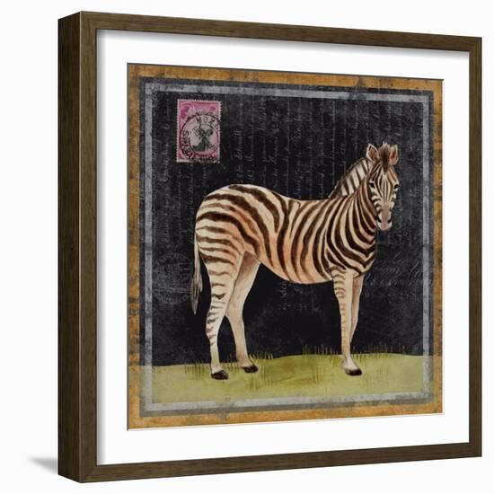 Zebra-Lisa Ven Vertloh-Framed Art Print