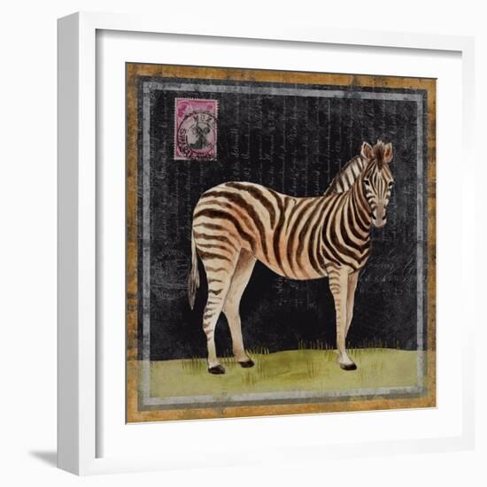 Zebra-Lisa Ven Vertloh-Framed Art Print