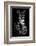 Zebra-Incado-Framed Photographic Print