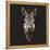 Zebra-Lora Kroll-Framed Stretched Canvas