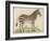 Zebra-null-Framed Art Print