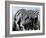 zebra-Whoartnow-Framed Giclee Print