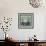 Zebra-David Sheskin-Framed Giclee Print displayed on a wall