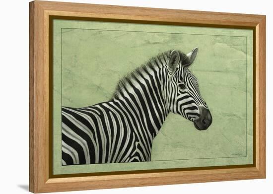 Zebra-James W. Johnson-Framed Premier Image Canvas