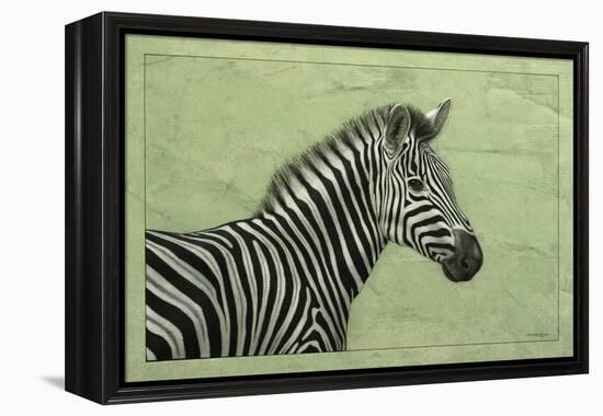 Zebra-James W. Johnson-Framed Premier Image Canvas