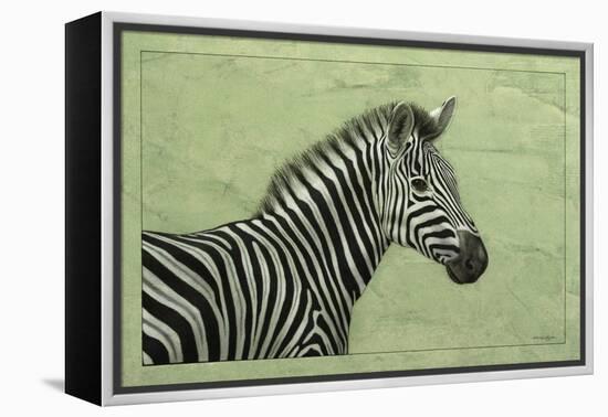 Zebra-James W. Johnson-Framed Premier Image Canvas