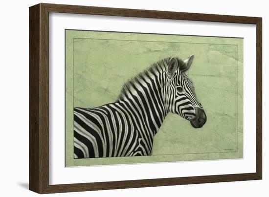 Zebra-James W. Johnson-Framed Giclee Print