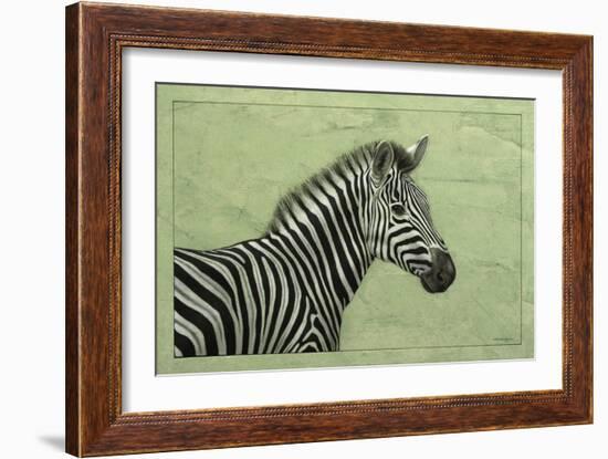 Zebra-James W. Johnson-Framed Giclee Print