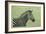 Zebra-James W. Johnson-Framed Giclee Print