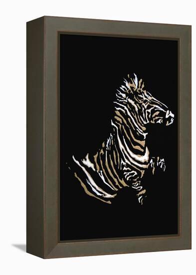 Zebra-Norma Kramer-Framed Stretched Canvas