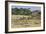 Zebras and Wildebeests (Connochaetes Taurinus) During Migration, Serengeti National Park, Tanzania-null-Framed Photographic Print