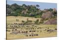 Stretched Canvas Print