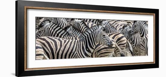 Zebras at waterhole, Namibia, Africa-Art Wolfe Wolfe-Framed Photographic Print