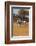 Zebras. Camelthorn Lodge. Hwange National Park. Zimbabwe.-Tom Norring-Framed Photographic Print