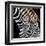 Zebras Grazing-null-Framed Art Print